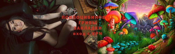 твердый Кулебаки