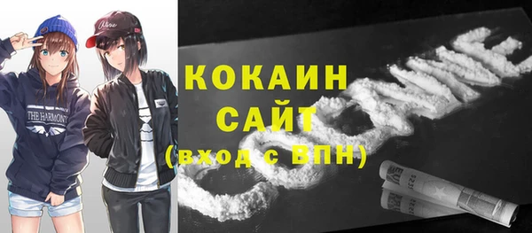 твердый Кулебаки