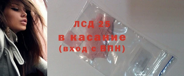 твердый Кулебаки