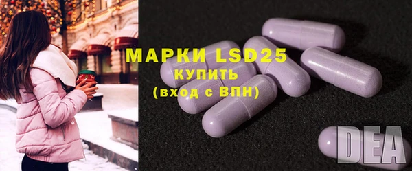 твердый Кулебаки