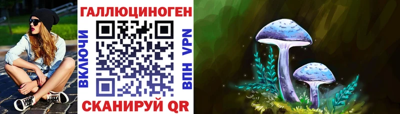 Купить закладки  Нестеров  Псилоцибиновые грибы Magic Shrooms 